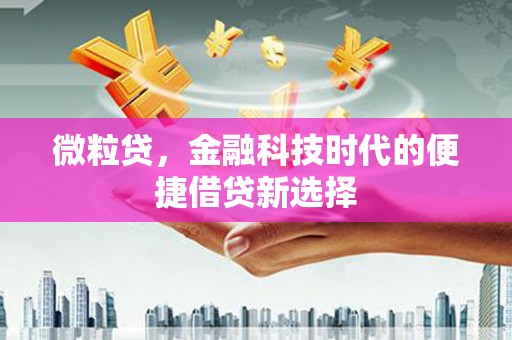 汉南微粒贷，金融科技时代的便捷借贷新选择