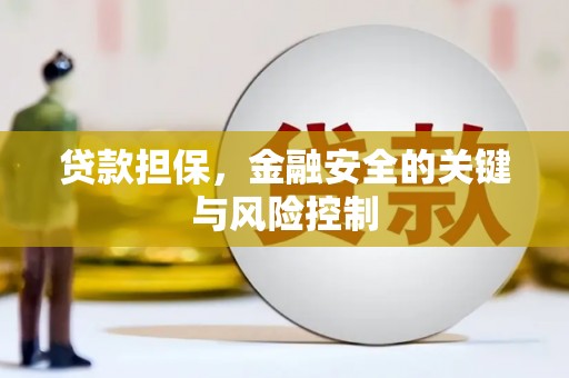 仪陇贷款担保，金融安全的关键与风险控制