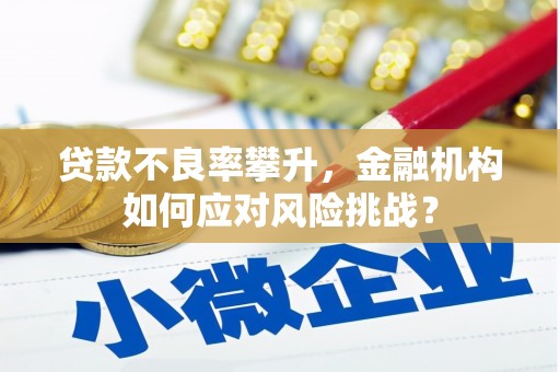 松滋贷款不良率攀升，金融机构如何应对风险挑战？