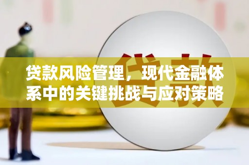 资兴贷款风险管理，现代金融体系中的关键挑战与应对策略