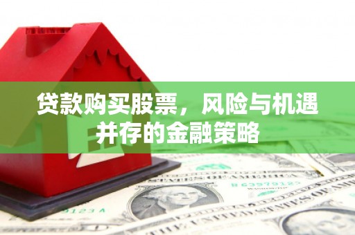 陆丰贷款购买股票，风险与机遇并存的金融策略