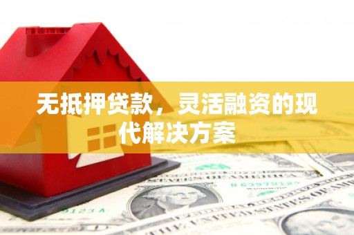 洞头无抵押贷款，灵活融资的现代解决方案