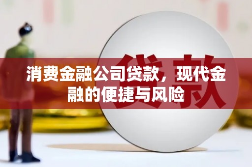 台东消费金融公司贷款，现代金融的便捷与风险