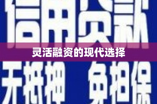 禅城灵活融资的现代选择