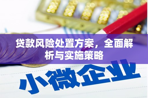 吴中贷款风险处置方案，全面解析与实施策略