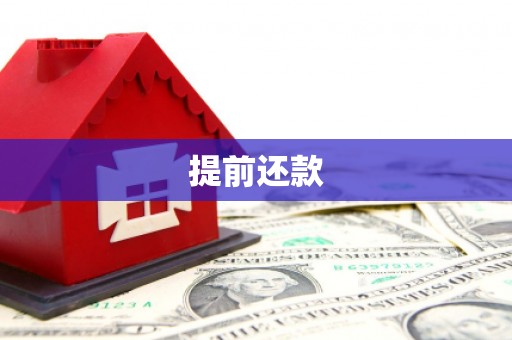 旬阳提前还款