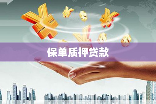 修武保单质押贷款