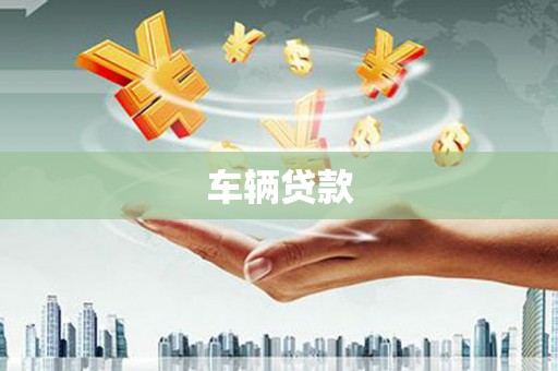乾安车辆贷款