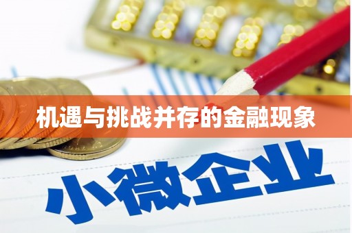 镜湖机遇与挑战并存的金融现象