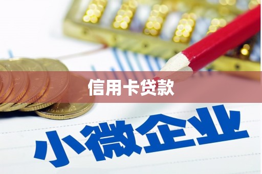 隆子信用卡贷款